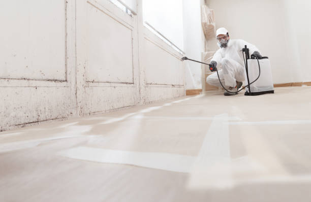 24/7 Emergency Mold Cleanup experts in White Plains, VA