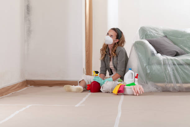 Reliable Mold Cleanup contractor in White Plains, VA by Cheap Mold Removal