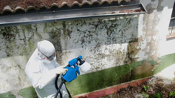 Top rated local Mold Cleanup specialists in White Plains, VA